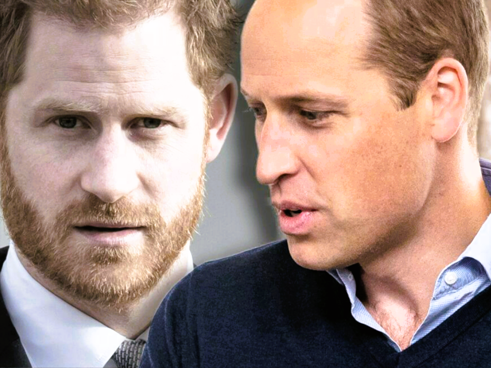 Prince William at the Heart of Royal Turmoil: Who's the New Thorn in the Family?