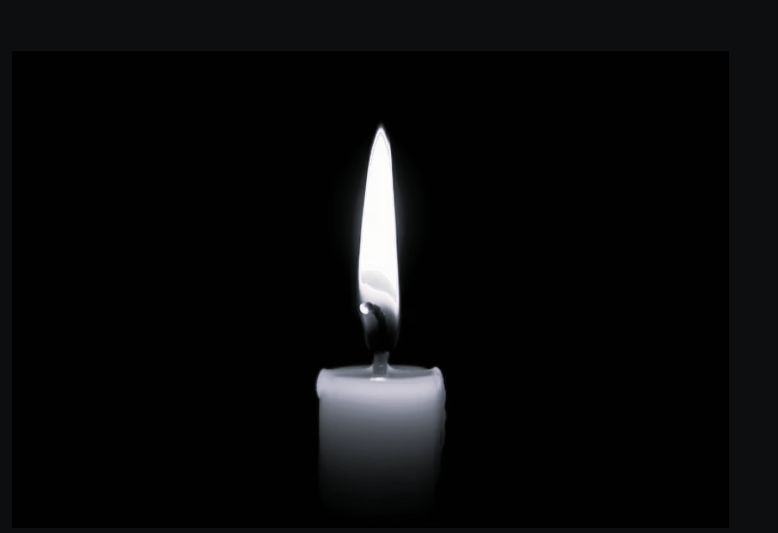 Tragedy Strikes Jungle Camp! Multiple Participants Dead - Read Their Stories Here!