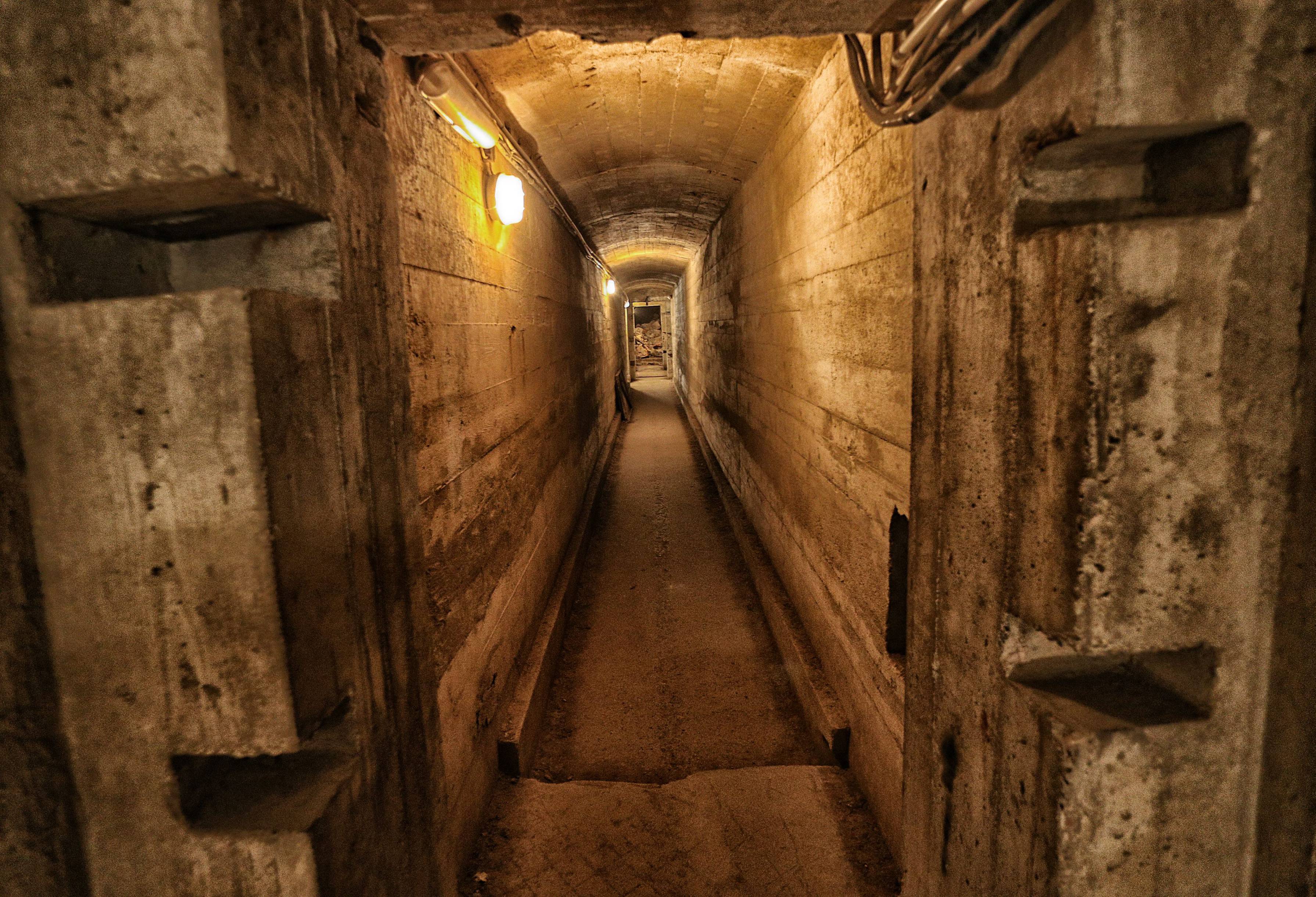 Unearthed Nazi Billion-Dollar Treasure Hidden in Swiss Bank for 78 Years? Shocking Revelations Emerge!