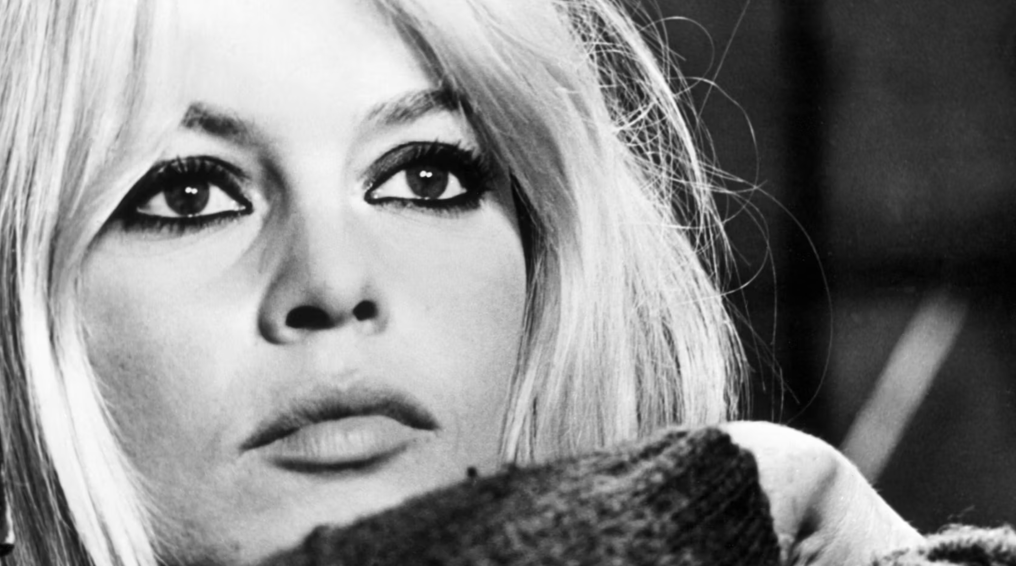 Brigitte Bardot Admitted to Hospital AGAIN! Is the Iconic Star's Condition Worse Than We Thought?