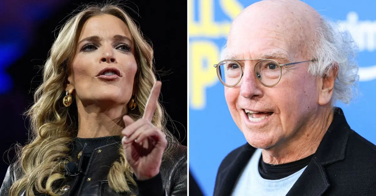 Megyn Kelly Slams Larry David After He Calls Trump's UFC 'Embarrassing'