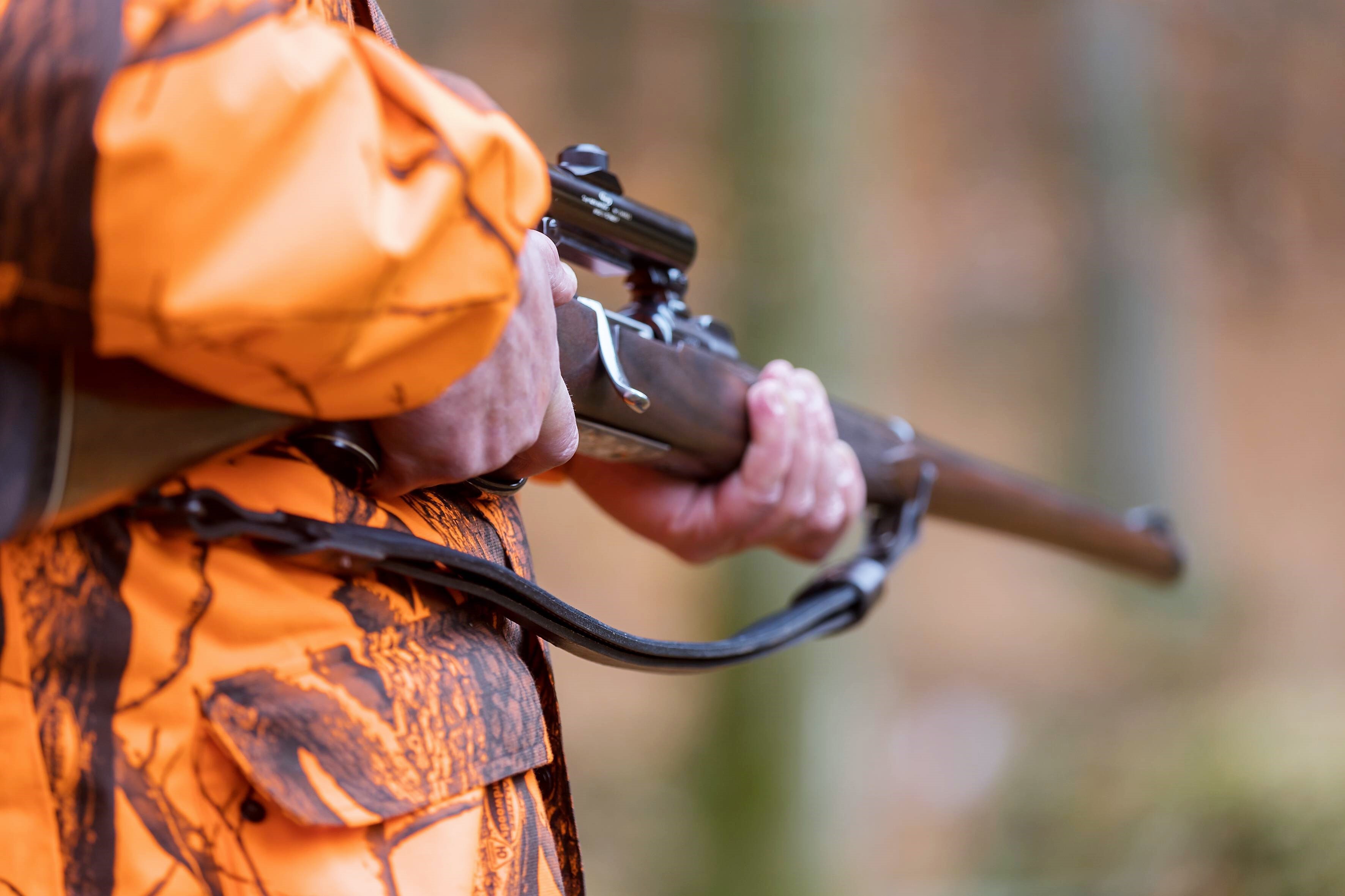 Killer-Bär in Deutschland? Nach tödlicher Bären-Attacke in Italien - Bärenspuren in Bayern entdeckt!