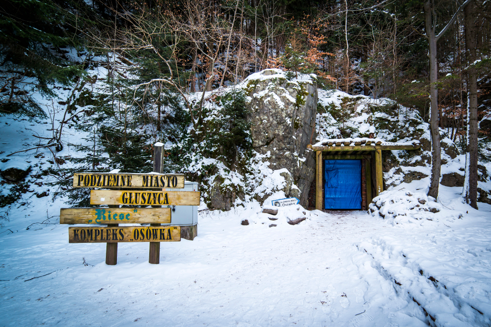 Vermisster deutscher Soldat nach 78 Jahren entdeckt: Das Geheimnis aus dem litauischen Wald!